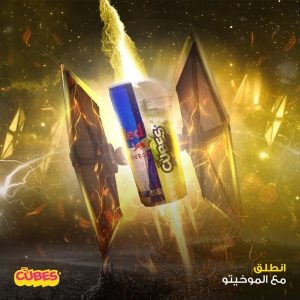 المشروع الأول