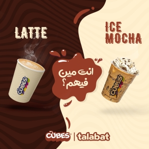 المشروع الأول