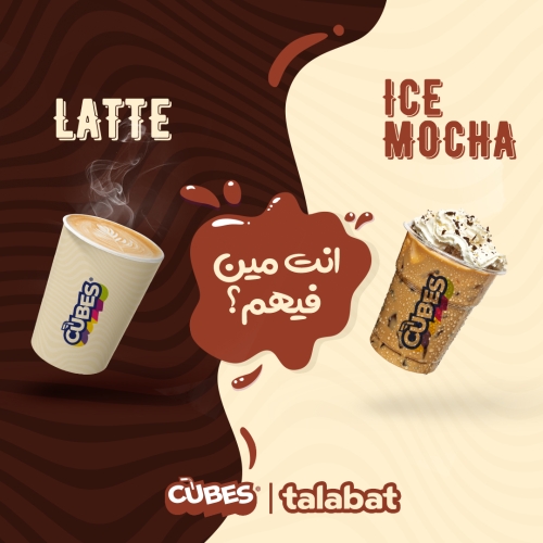 المشروع الأول