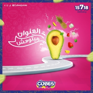 المشروع الأول