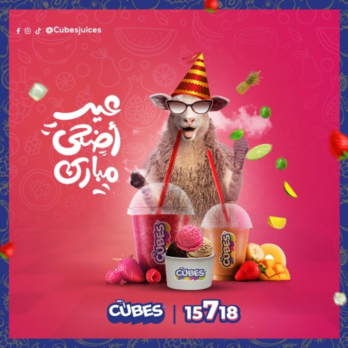 المشروع الأول