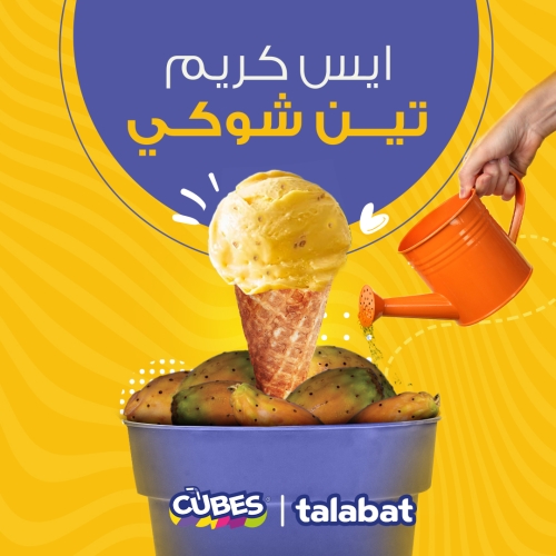المشروع الأول